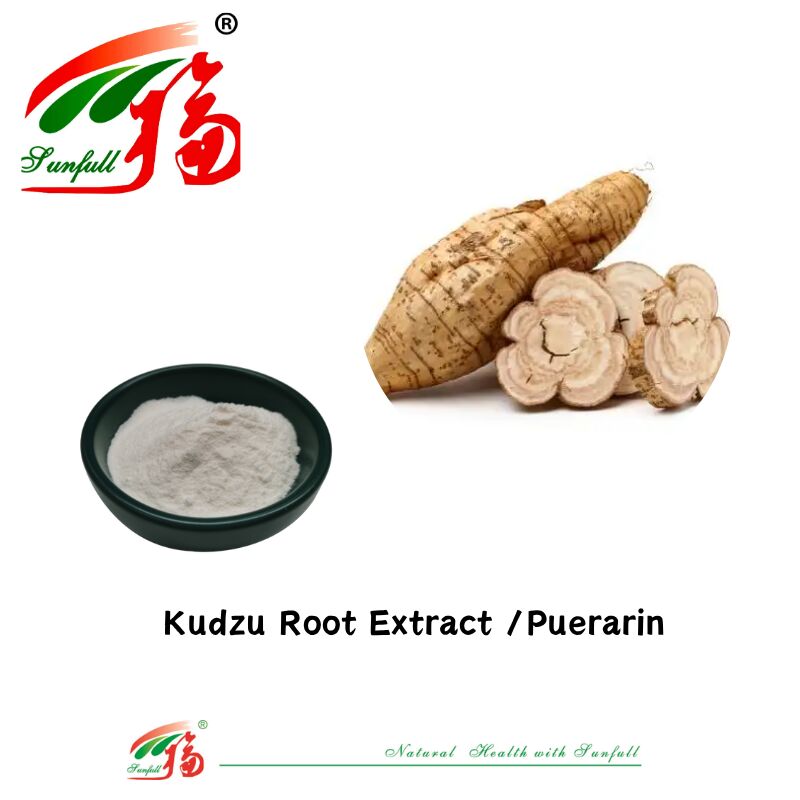 Mẫu miễn phí Dùng chiết xuất rễ Kudzu chất lượng cao Pueraria Lobata Dùng chiết xuất Puerarin 10%-98% CAS 3681-99-0