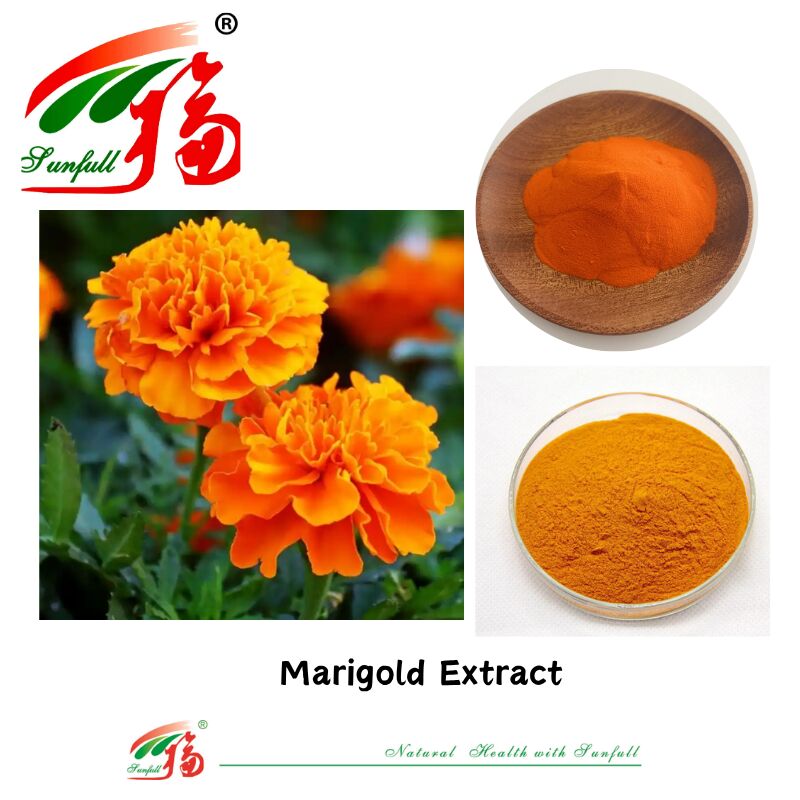 Các thành phần tự nhiên Mắt Sức khỏe Năng lượng thực phẩm Zeaxanthin 5% Hỗn hòa trong nước Lutein 5% HPLC Chiết xuất hoa hoa hoa