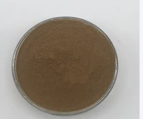ISO/Kosher Thúc đẩy tiêu hóa Chiết xuất hạt Cassia cấp thực phẩm 10: 1 / 20% HPLC Sennosides Senna Leaf Extract