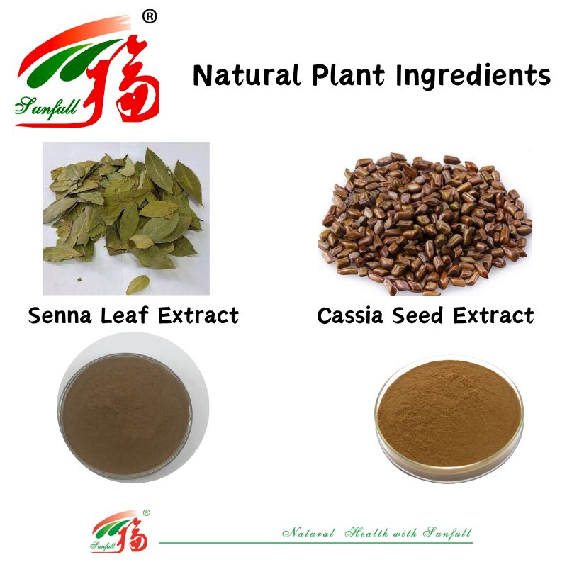 ISO/Kosher Thúc đẩy tiêu hóa Chiết xuất hạt Cassia cấp thực phẩm 10: 1 / 20% HPLC Sennosides Senna Leaf Extract