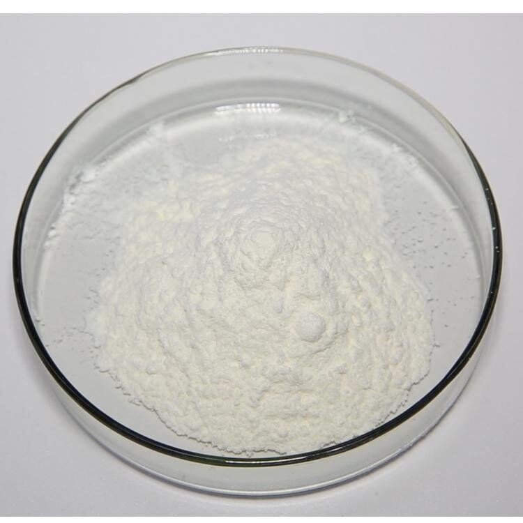 Cung cấp số lượng lớn Phụ gia thức ăn tự nhiên giá tốt nhất Cung cấp số lượng lớn Phụ gia thức ăn tự nhiên giá tốt nhất 95% Andrographis Paniculata Extract CAS số 5508-58-7