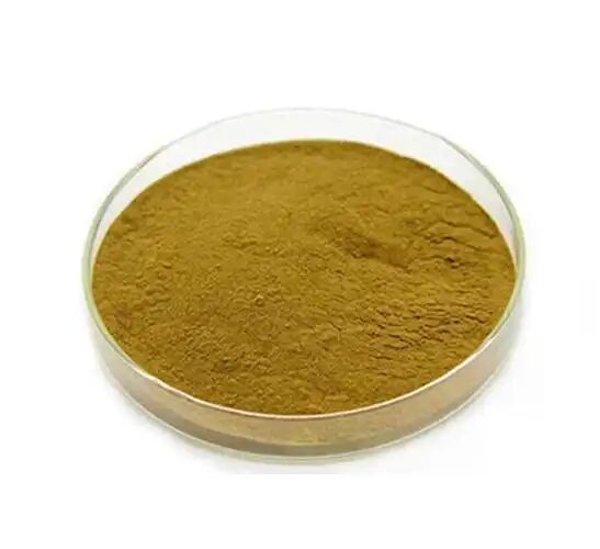 Cấp thức ăn / Bổ sung dinh dưỡng cấp thực phẩm Chiết xuất Eucommia Ulmoides / Chiết xuất hạt cà phê xanh Axit clo hóa 5% -98%