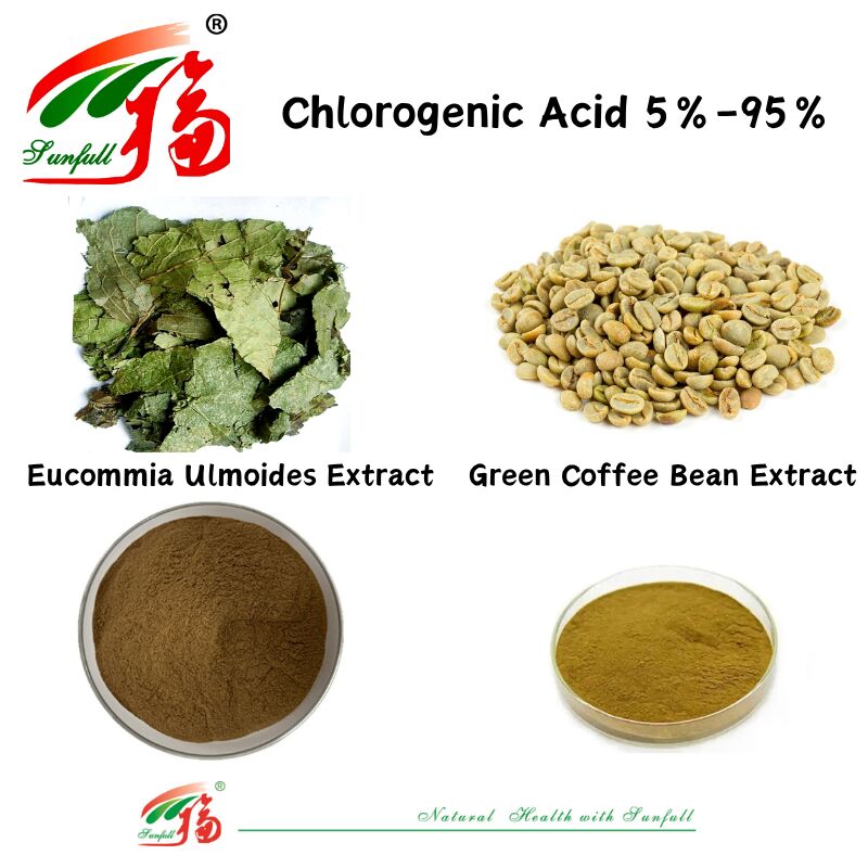 Cấp thức ăn / Bổ sung dinh dưỡng cấp thực phẩm Chiết xuất Eucommia Ulmoides / Chiết xuất hạt cà phê xanh Axit clo hóa 5% -98%