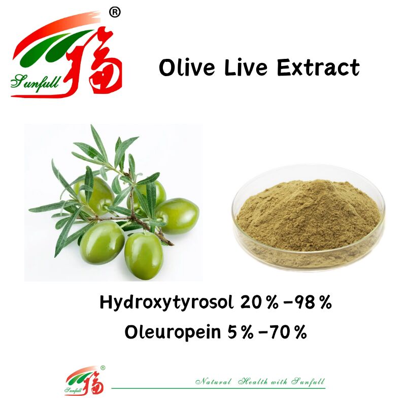 100% chất lượng thực phẩm tự nhiên bổ sung sức khỏe Nhà máy cung cấp 80% Oleuropein /5% ~ 20% Hydroxytyrosol Chiết xuất lá ô liu
