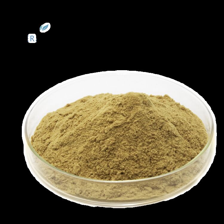 100% chất lượng thực phẩm tự nhiên bổ sung sức khỏe Nhà máy cung cấp 80% Oleuropein /5% ~ 20% Hydroxytyrosol Chiết xuất lá ô liu