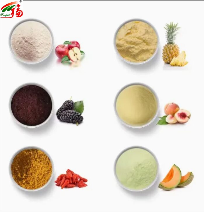 Các thành phần trái cây Thực phẩm sức khỏe Chất lượng cao hương vị tốt và khả năng hòa tan trong nước đồ uống Bột đông khô Bột trái cây khác nhau