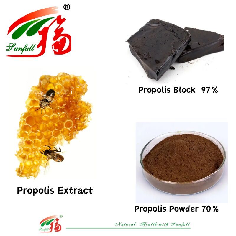 Thực phẩm bổ sung/Dược phẩm giàu Flavonoid 10%-20% Khối keo ong hòa tan trong nước 97% / Bột keo ong 70% Chiết xuất keo ong