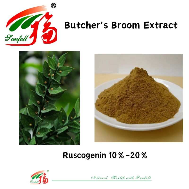 Giá nhà máy chất lượng cao chiết xuất rễ Ruscus Aculeatus 10% -20% chiết xuất chổi của người bán thịt
