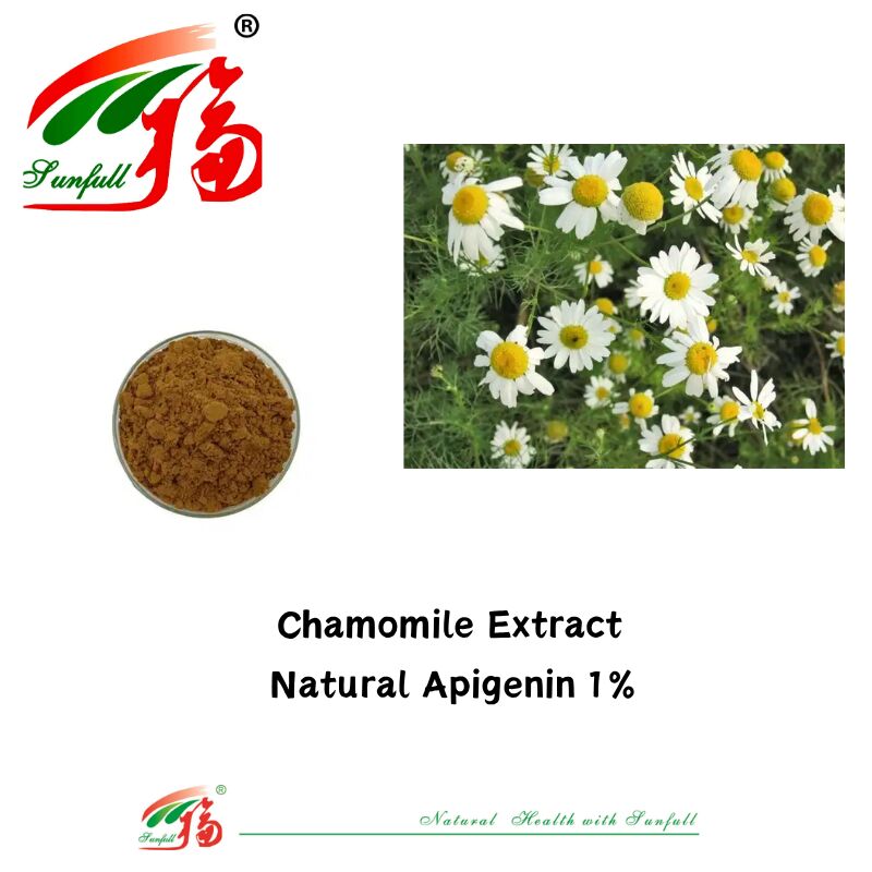 100% chiết xuất hạt cải tây tự nhiên 98% Apigenin bột CAS 520-36-5 chất lượng cao Apigenin 1% chiết xuất hoa cúc