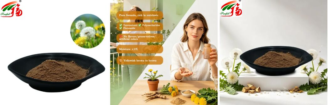 Thức ăn Dandelion Cây thảo Dandelion lá chiết xuất bột Flavonoid tự nhiên 5% - 10% Organic Dandelion chiết xuất