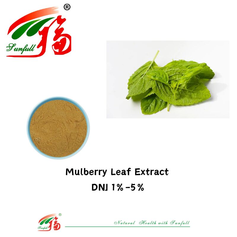 Mẫu thực phẩm miễn phí Lớp 1% -5% HPLC Deoxynojirimycin Dnj Powder Polysaccharides Mulberry Leaf Extract Powder Chất chống oxy hóa chống lão hóa cho các công thức mỹ phẩm