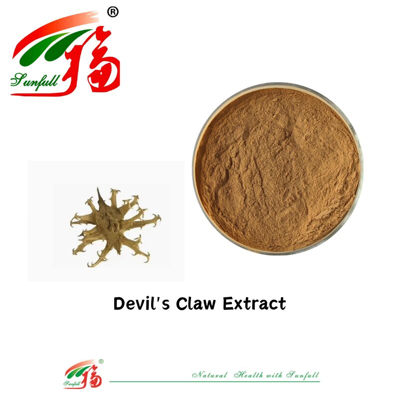 Natural Pure CAS 19210-12-9 Harpagophytum Procumbens Bột 5% Harpagoside Devils Claw Extract