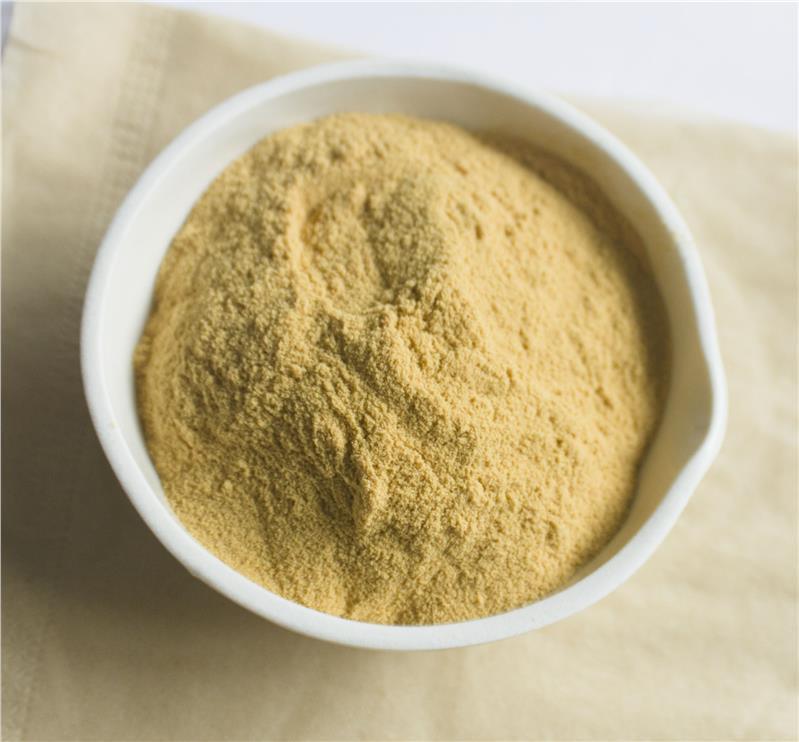 Sản xuất nhà máy Hémostasis Các chất bổ sung chế độ ăn uống 10% 40% 80% Notoginsenosides Panax Notoginseng Extract