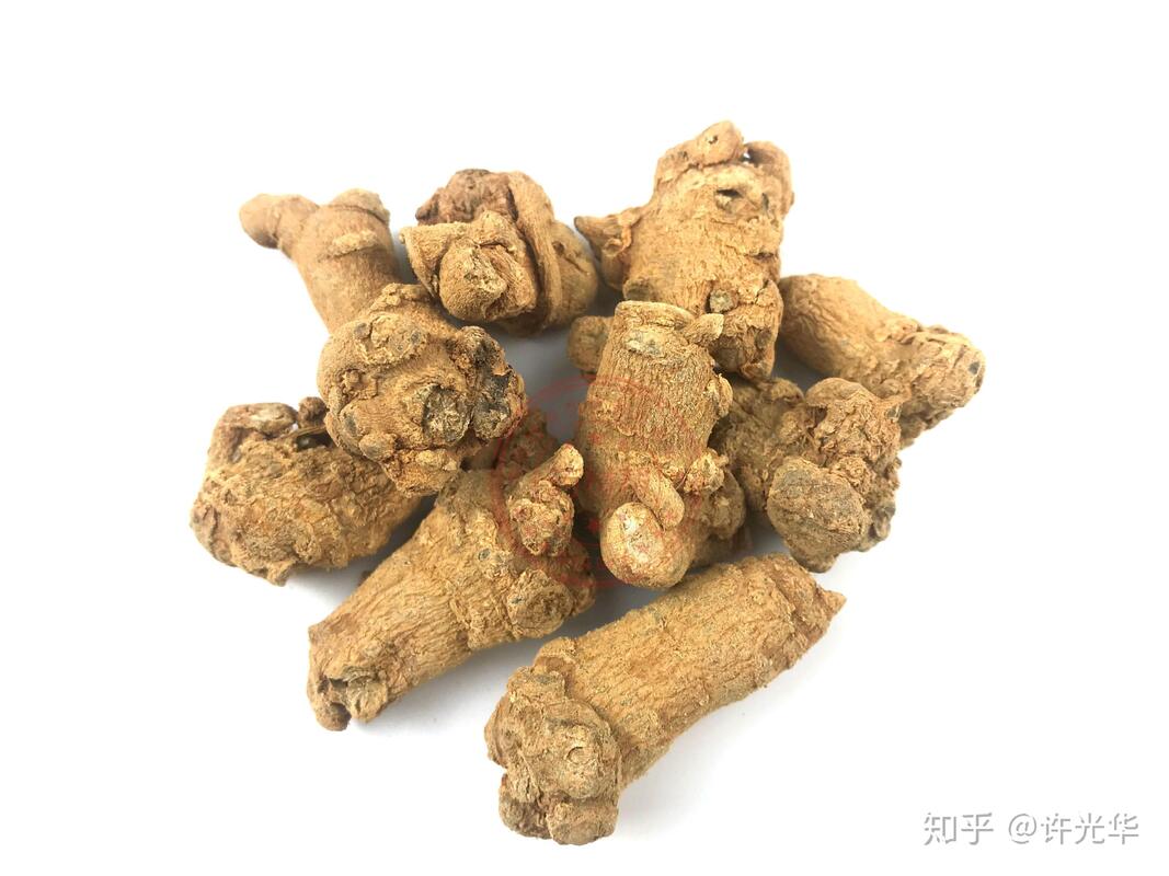 Sản xuất nhà máy Hémostasis Các chất bổ sung chế độ ăn uống 10% 40% 80% Notoginsenosides Panax Notoginseng Extract