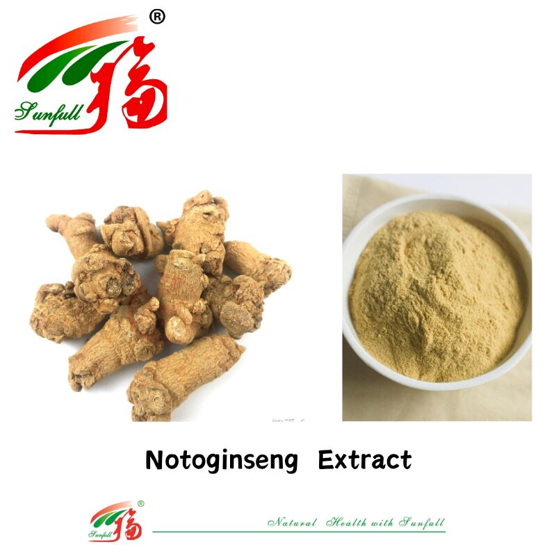 Sản xuất nhà máy Hémostasis Các chất bổ sung chế độ ăn uống 10% 40% 80% Notoginsenosides Panax Notoginseng Extract