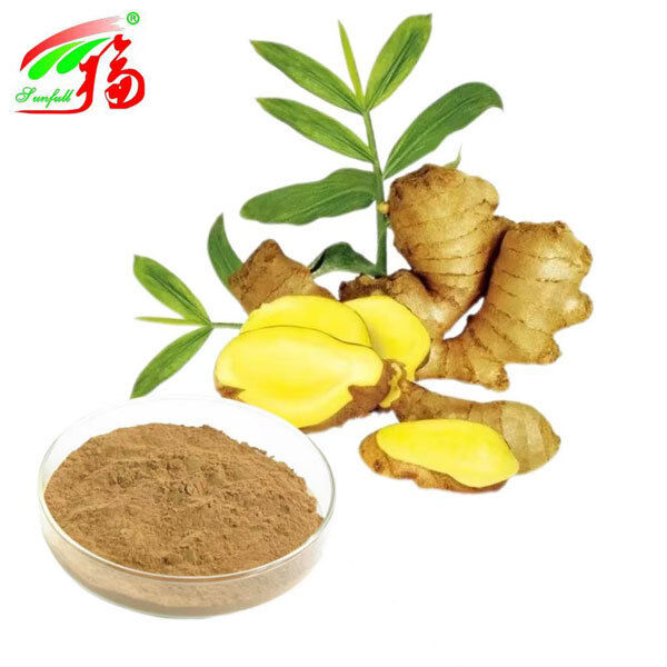 Chiết xuất Gừng Chiết xuất rễ Gừng Gingerols 10% 5% 1% Thức tiêu hóa Thức thở hỗ trợ và vận động khớp