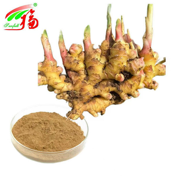 Chiết xuất Gừng Chiết xuất rễ Gừng Gingerols 10% 5% 1% Thức tiêu hóa Thức thở hỗ trợ và vận động khớp