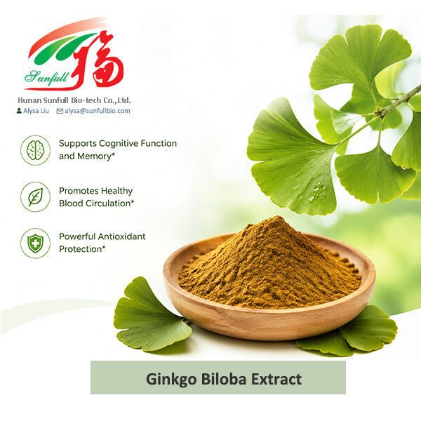 Chiết xuất Ginkgo Biloba tự nhiên Cp/ USP/ Ep/ dung dịch trong nước