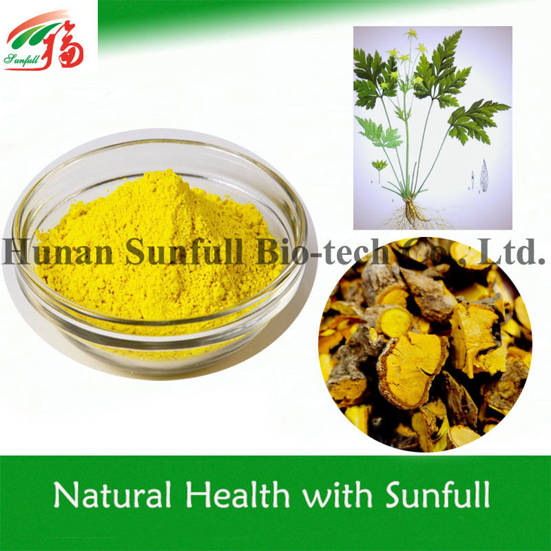 100% Berberine HCl tự nhiên 97% 98% từ rễ Hoàng Liên (Coptis chinensis) với số CAS 633-65-8