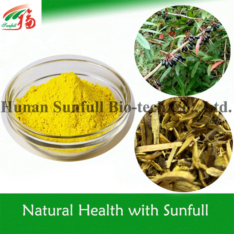Berberine hcl 97% 98% Bột tinh thể màu vàng có đặc tính kháng khuẩn và chống viêm từ chiết xuất Phellodendron chinense