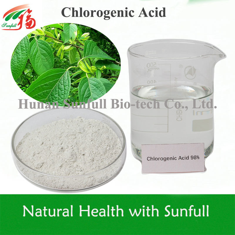Thuốc chống oxy hóa tự nhiên axit chlorogenic tinh khiết cao cho bổ sung sức khỏe CAS 327-97-9