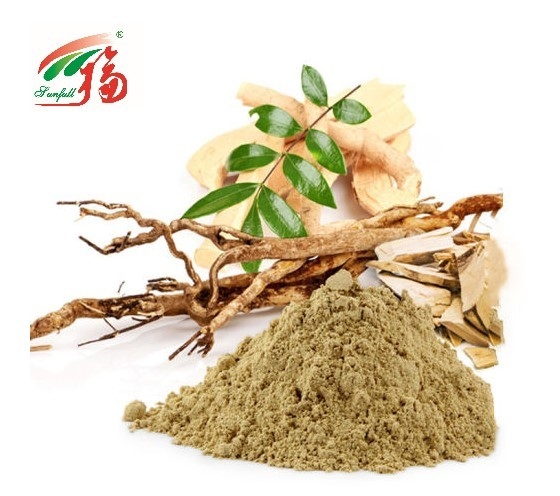 Bột rễ Eurycomanone Eurycoma longifolia Chiết xuất 10: 1 cho hệ thống sinh sản