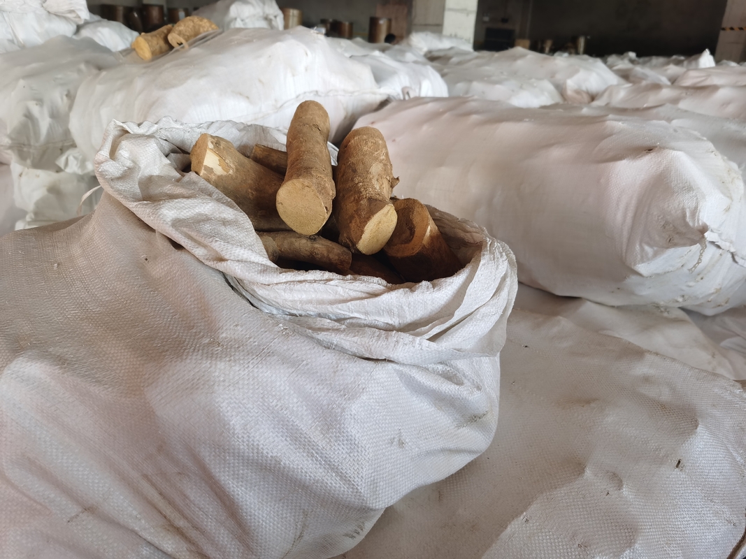 0,5% chiết xuất Eurycomanone Bột chiết xuất rễ Eurycoma longifolia cho hoạt động chống nhiệt