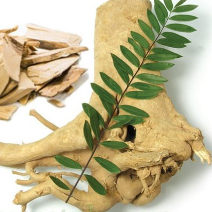 Bổ sung Anti Viral Eurycoma longifolia 2,5% Eurycomanone Eurycoma longifolia để phục hồi mệt mỏi