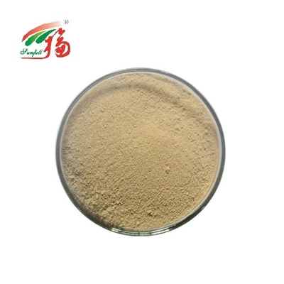 Bột chiết xuất thảo dược Chiết xuất rễ cây khổ sâm 10% -80% HPLC Gentiopcroside