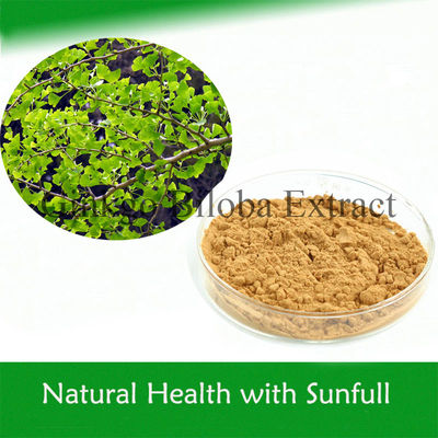 Chất chiết xuất thực vật có hiệu quả Ginkgo Biloba Chất chiết xuất cho tiếng ốc ngăn ngừa và điều trị bệnh tim mạch