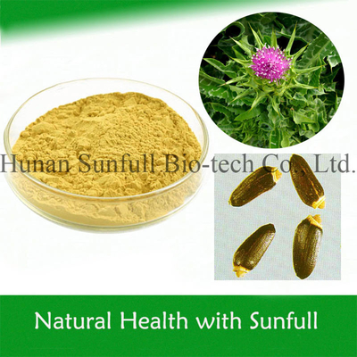 100% chất liệu chiết xuất cây gai sữa tự nhiên từ hạt Silybum Marianum cho sự phát triển tế bào gan