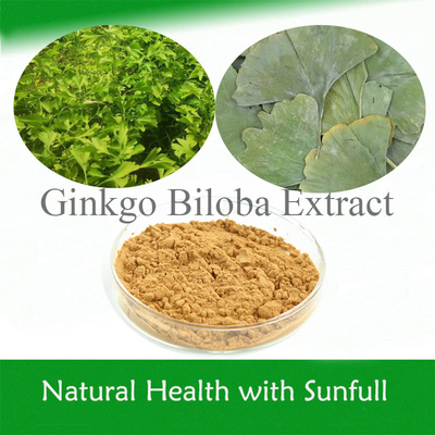 Chiết xuất lá Ginkgo Biloba 24/6 CAS 90045-36-6 Cp USP561 Ep EC396