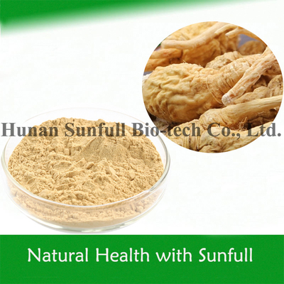 Chiết xuất rễ Maca 4: 1 Macamides & Macaenes cho chăm sóc sức khỏe nam giới