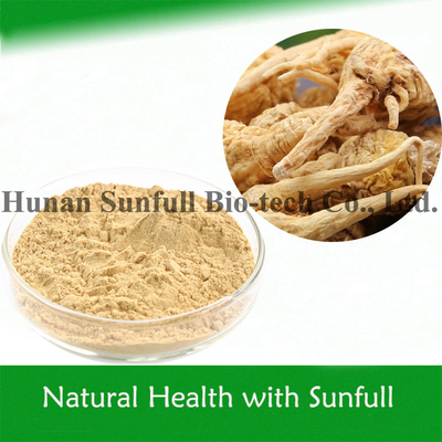 Mens Thực phẩm sức khỏe thực vật Chiết xuất Maca cho dinh dưỡng (Lepidium meyenii Walp)