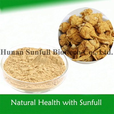 Giá cạnh tranh Maca chiết xuất 0,6% Macamides & Macaenes cho nam giới Sức khỏe