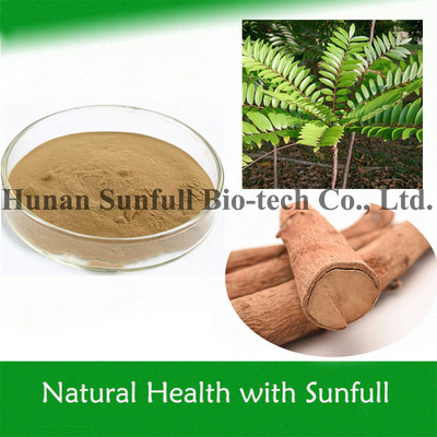Eurycoma longifolia Chiết xuất nhân sâm Malaysia 1% -10% Eurycomanone cho nam giới Sức khỏe