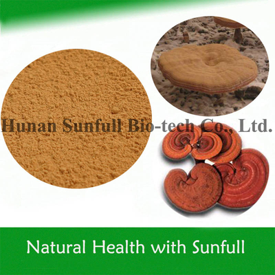 Chiết xuất nấm Reishi Polysaccharides và Triterpenoids cho sức khỏe tối ưu