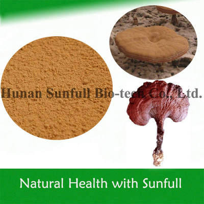 Chiết xuất Reishi Ganoderma 10% ~ 50% Polysaccharides để cải thiện miễn dịch