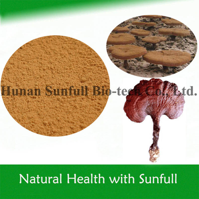 Chiết xuất nấm Reishi với polysaccharides Triterpenoids để cải thiện khả năng miễn dịch
