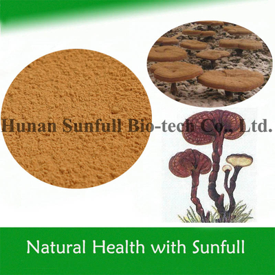 Chất chiết xuất nấm Reishi Polysaccharide Organic cho thực phẩm sức khỏe