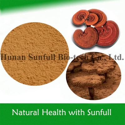 Thực phẩm sức khỏe chất lượng cao Ganoderma Lucidum chiết xuất bột Reishi