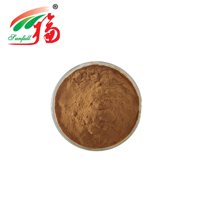 Bột Chiết Xuất Trà Xanh Tinh Khiết Với 20% L-Theanine Cho Sức Khỏe