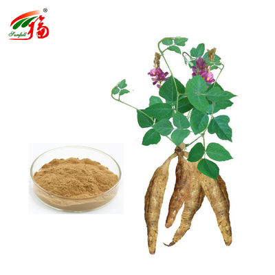 Trung Quốc Nhà máy chiết xuất gốc Kudzu tự nhiên Puerarin với 25% 60% 98% Cho tùy chọn
