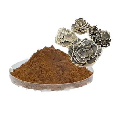 Coriolus Versicolor Extract 50% Polysaccharides cho thực phẩm chức năng với điều chỉnh lượng đường trong máu và giảm chất nhầy