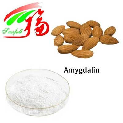 98% Amygdalin Vitamin B17 Supplements Bitter Almond Extract Powder CAS 29883-15-6