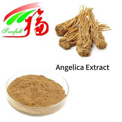 Angelica chiết xuất 1% 1,5% Liguistlide 0,1% 0,3% Ferulic acid Trung Quốc Dong Quai chiết xuất