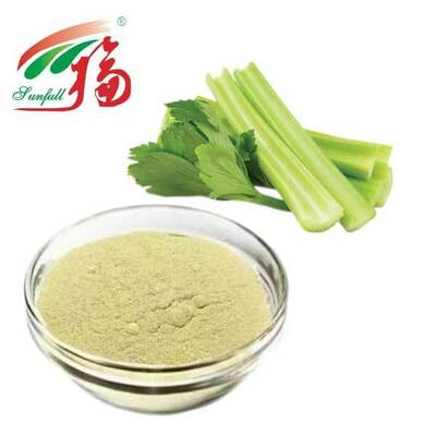 Chất chiết xuất Celery Premium Apigenin 50% 98% Nhà sản xuất cung cấp bột Apigenin