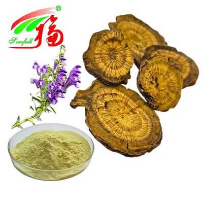 Thành phần chăm sóc sức khỏe 10%~95% Baicalin Baicalein bột chiết xuất Hoàng Cầm Scutellaria baicalensis Georgi chiết xuất rễ Hoàng Cầm chiết xuất Hoàng Cầm Mông Cổ