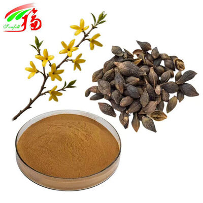 Phillyrin Forsythia Extract Extract bột
