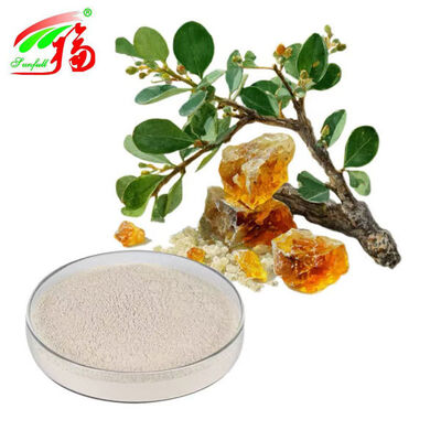 Phillyrin Forsythia Extract Extract bột